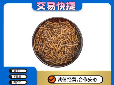 宣威市高价回收散虫草